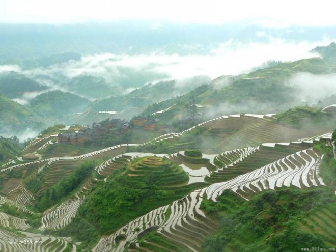 梯田图片