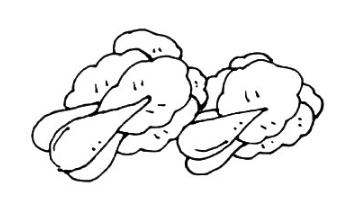 大白菜简笔画步骤图解