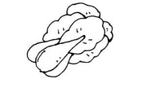 大白菜简笔画步骤图解