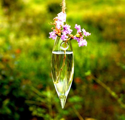 好看的悬挂花瓶配上好看的花 静物唯美图片