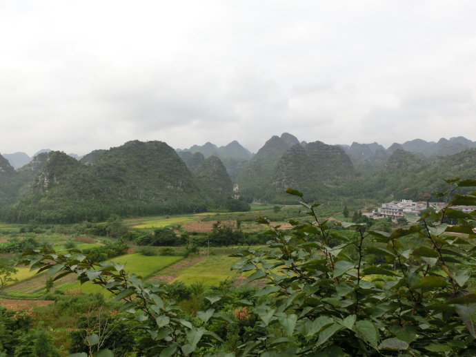 万峰林风景区