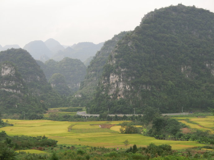 万峰林风景区