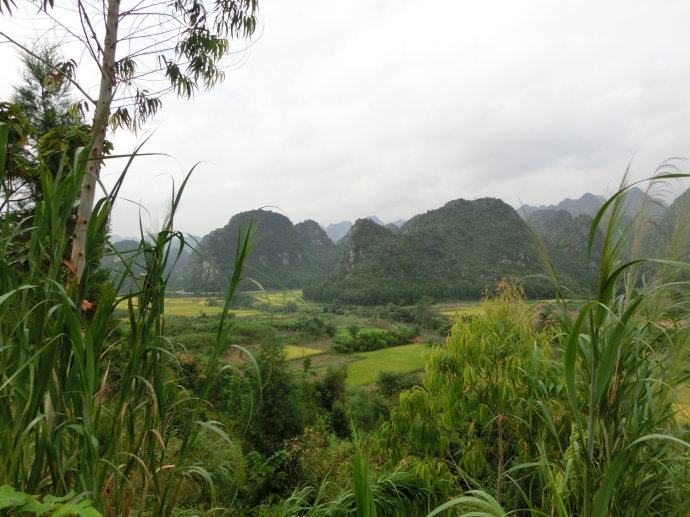 万峰林风景区