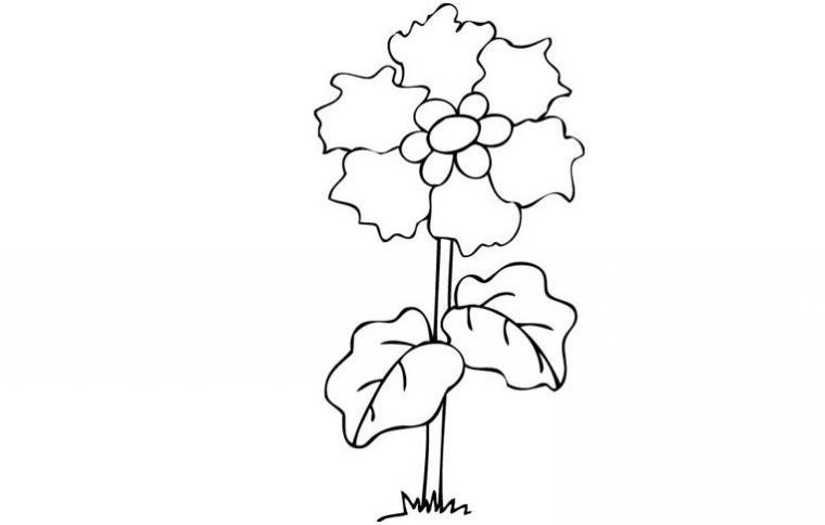 简笔画花图案大全