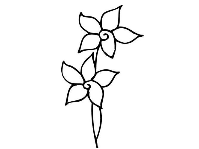简笔画花图案大全