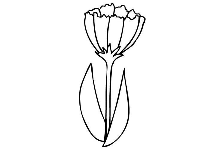简笔画花图案大全