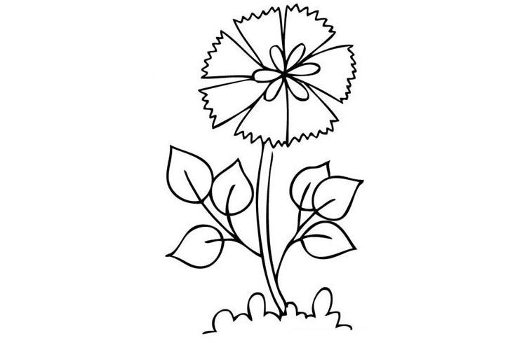 简笔画花图案大全