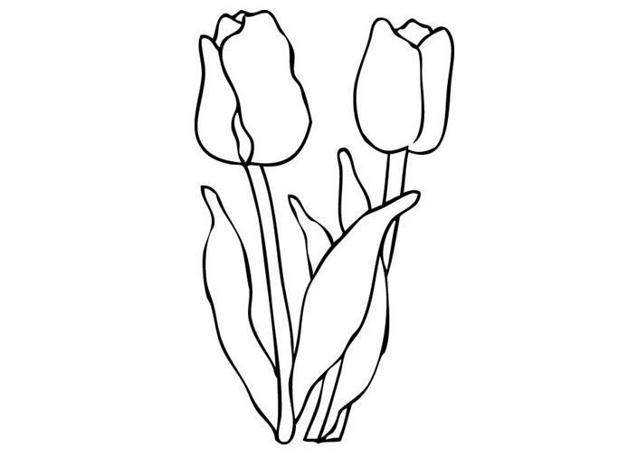 简笔画花图案大全