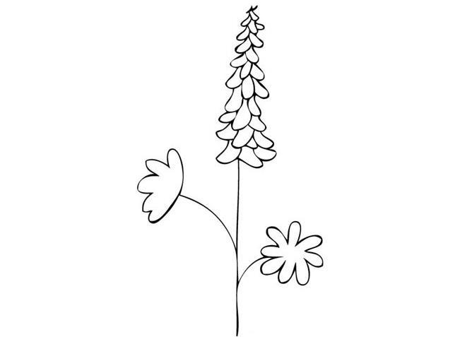 简笔画花图案大全