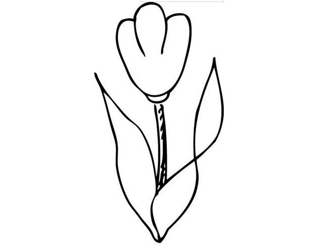 简笔画花图案大全
