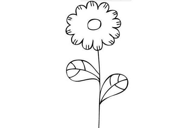 简笔画花图案大全