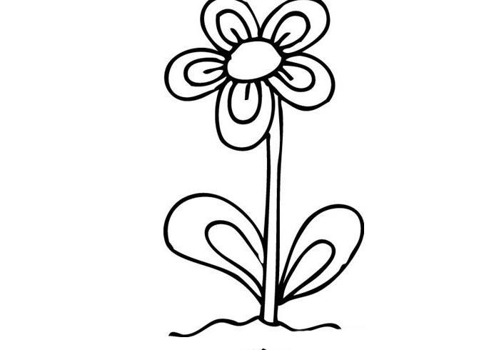 简笔画花图案大全