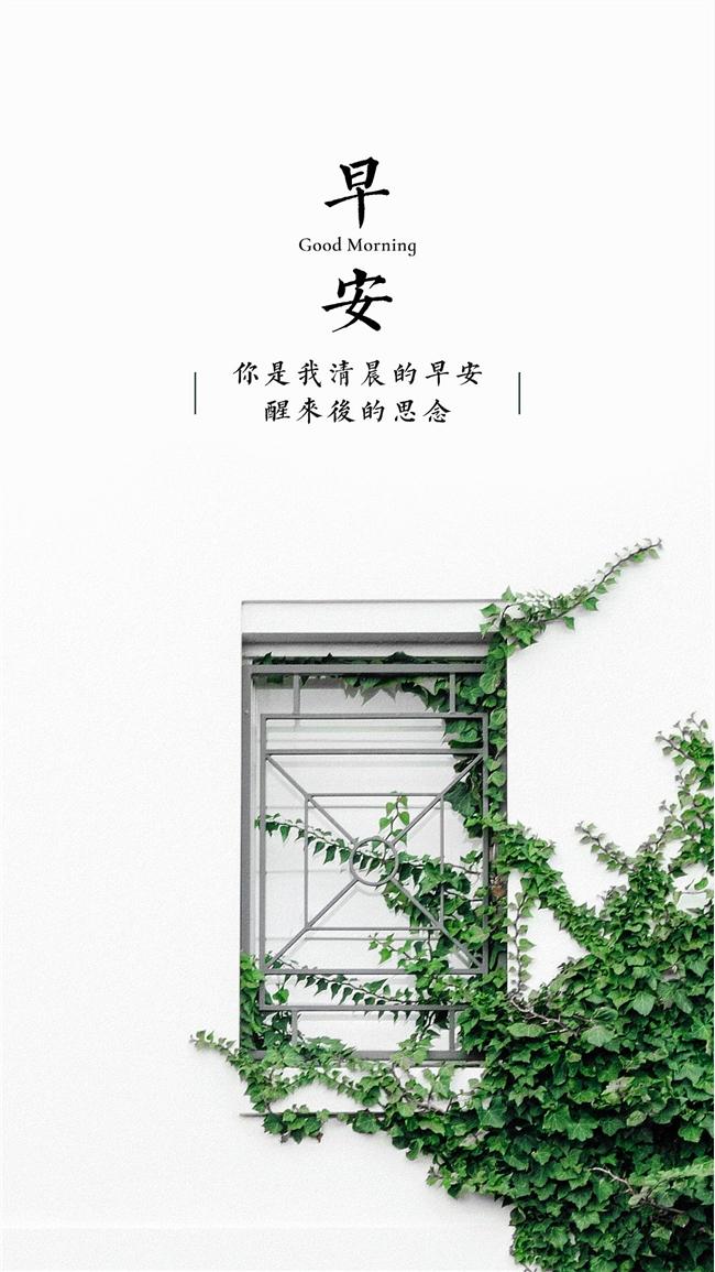 唯美清新早安文字图片智能手机桌面壁纸