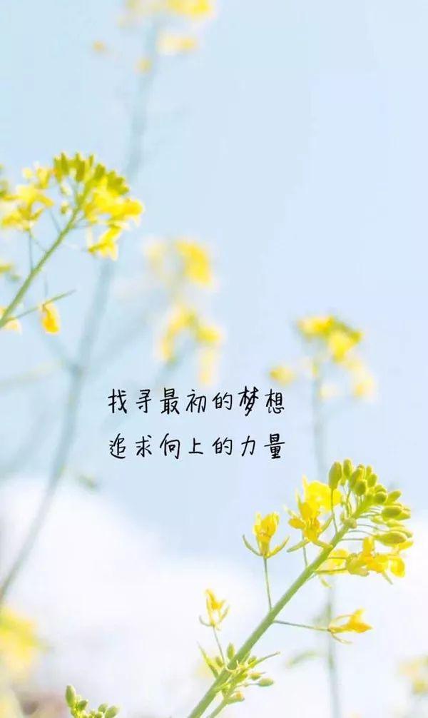 特别漂亮的早上好图片 早上好心情的句子