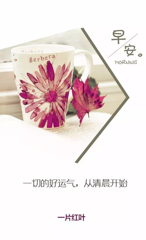 特别漂亮的早上好图片 早上好心情的句子