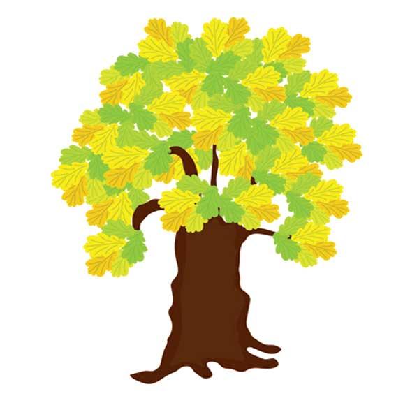 澳门美高梅:植物彩色简笔画大全，如何画秋天的大树简笔画彩色图片