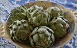 朝鲜蓟图片