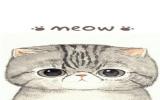 可爱卡通猫咪背景图片
