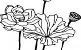 儿童花朵简笔画