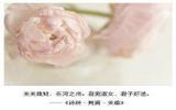 诗经中唯美情话图片