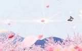 课件粉色背景图片,蝴蝶与花朵