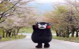 熊本熊图片