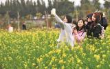 春天踏青图片