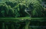 风水村落油画设计图片