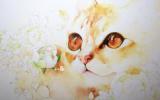 手绘猫猫图片