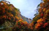 光雾山风景图片