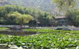 五泉山公园风景图片