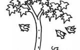 小学生大树简笔画