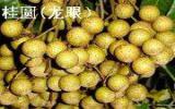 香气迷人的奶油苹果图片