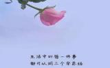 适合早上发的朋友圈的图片