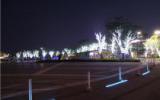 海口日月广场夜景图片