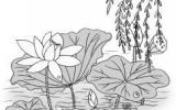 小学生的荷花简笔画