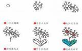 蒲公英简笔画图片