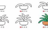 各种可爱的水果简笔画