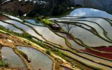 云南元阳梯田风景图片