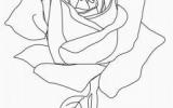 玫瑰花简笔画画法图解