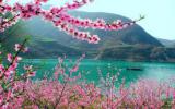 桃花山水风景图片