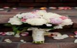鲜花的祝福图片