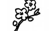 幼儿桃花简笔画