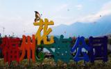 花海公园美景图片