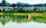 小岗村图片