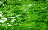 青色图片大全