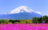富士山图片