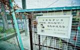男人吸烟心情伤感句子