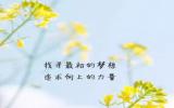特别漂亮的早上好图片
