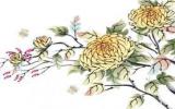 菊花简笔画